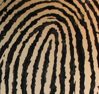 Fingerprint
