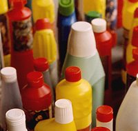 The Plastic Bottles
