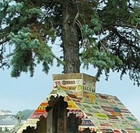 House for a Tree